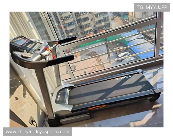 哈尔滨康乐佳健身器材分部概况及本地市场影响力 哈尔滨康乐佳健身器材分部概况及本地市场影响力