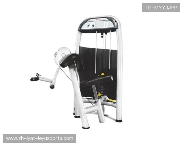 踢腿类健身器材的功能与训练目标